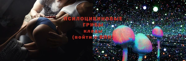 амф Белоозёрский