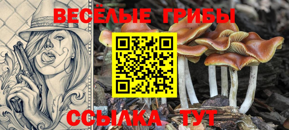 Конопля Анапа