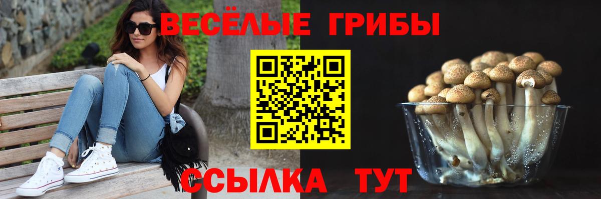 Галлюциногенные грибы Psilocybine cubensis  Вход с VPN  Анапа 